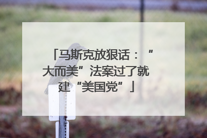 马斯克放狠话：“大而美”法案过了就建“美国党”