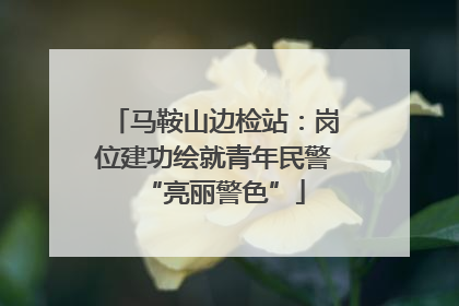 马鞍山边检站：岗位建功绘就青年民警“亮丽警色”