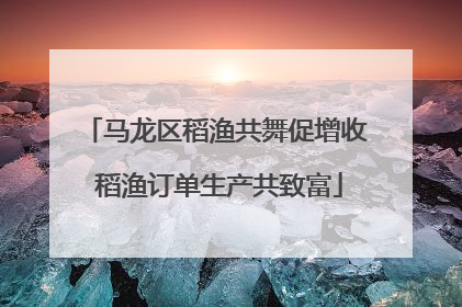 马龙区稻渔共舞促增收 稻渔订单生产共致富