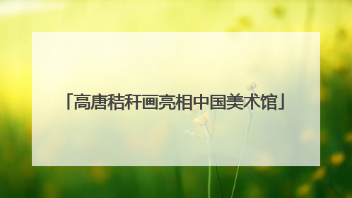 高唐秸秆画亮相中国美术馆
