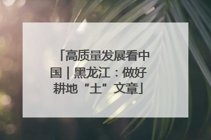 高质量发展看中国｜黑龙江：做好耕地“土”文章