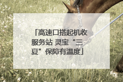 高速口搭起机收服务站 灵宝“三夏”保障有温度