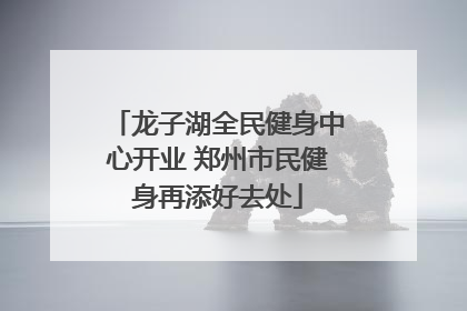 龙子湖全民健身中心开业 郑州市民健身再添好去处