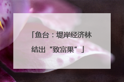 鱼台：堤岸经济林结出“致富果”