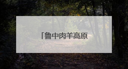 鲁中肉羊高原“零伤亡”背后的山东智慧