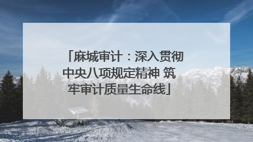 麻城审计：深入贯彻中央八项规定精神 筑牢审计质量生命线