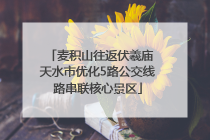 麦积山往返伏羲庙 天水市优化5路公交线路串联核心景区