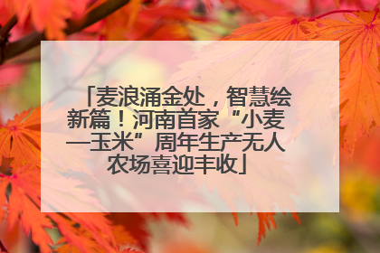 麦浪涌金处，智慧绘新篇！河南首家“小麦—玉米”周年生产无人农场喜迎丰收