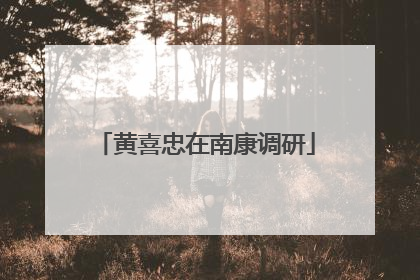 黄喜忠在南康调研
