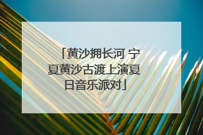 黄沙拥长河 宁夏黄沙古渡上演夏日音乐派对
