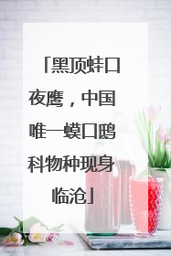 黑顶蛙口夜鹰，中国唯一蟆口鸱科物种现身临沧