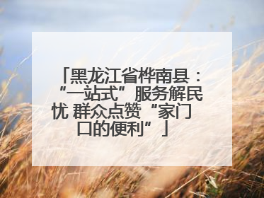 黑龙江省桦南县：“一站式”服务解民忧 群众点赞“家门口的便利”