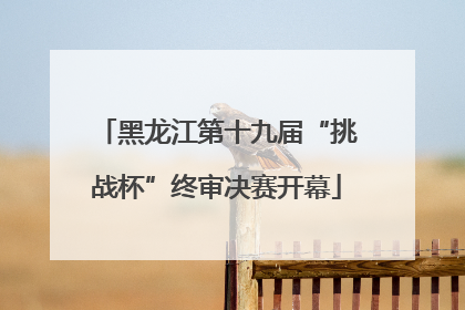 黑龙江第十九届“挑战杯”终审决赛开幕