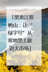 黑龙江双鸭山：让“绿字号”从寒地黑土挺进大市场