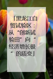 黑龙江自贸试验区：从“创新试验田”向“经济增长极”的质变