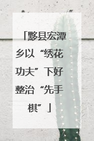 黟县宏潭乡以“绣花功夫”下好整治“先手棋”