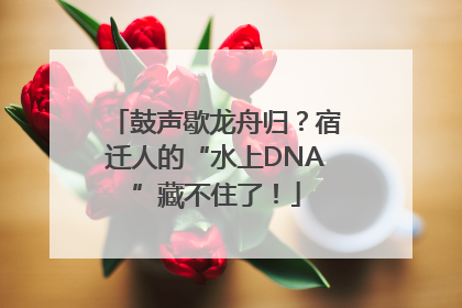 鼓声歇龙舟归？宿迁人的“水上DNA”藏不住了！