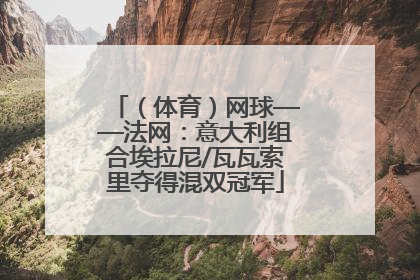（体育）网球——法网：意大利组合埃拉尼/瓦瓦索里夺得混双冠军