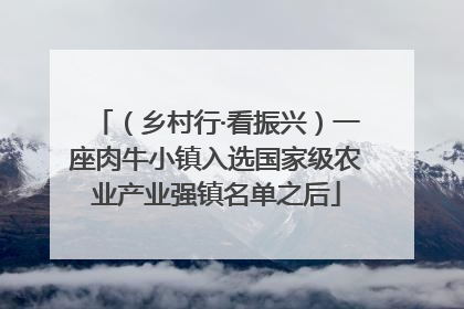 （乡村行·看振兴）一座肉牛小镇入选国家级农业产业强镇名单之后