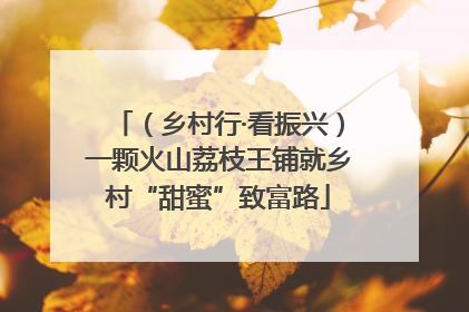（乡村行·看振兴）一颗火山荔枝王铺就乡村“甜蜜”致富路