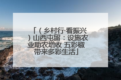（乡村行·看振兴）山西屯留：设施农业助农增收 五彩椒带来多彩生活