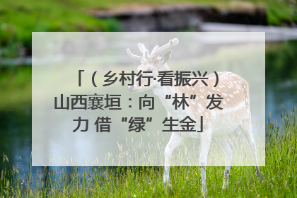 （乡村行·看振兴）山西襄垣：向“林”发力 借“绿”生金