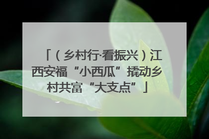 （乡村行·看振兴）江西安福“小西瓜”撬动乡村共富“大支点”