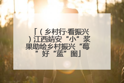 （乡村行·看振兴）江西靖安“小”浆果助绘乡村振兴“莓”好“蓝”图
