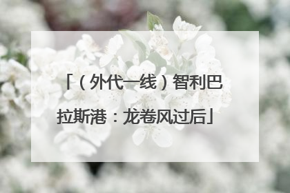（外代一线）智利巴拉斯港：龙卷风过后