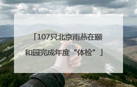 107只北京雨燕在颐和园完成年度“体检”