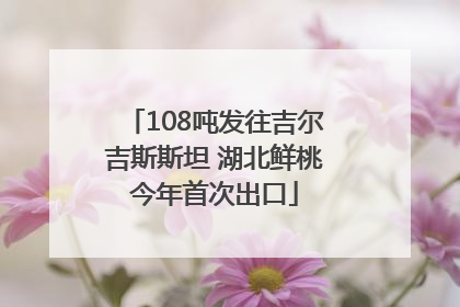 108吨发往吉尔吉斯斯坦 湖北鲜桃今年首次出口