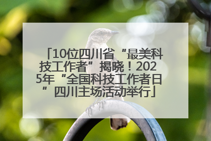 10位四川省“最美科技工作者”揭晓！2025年“全国科技工作者日”四川主场活动举行