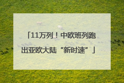 11万列！中欧班列跑出亚欧大陆“新时速”