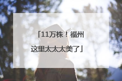 11万株！福州这里太太太美了