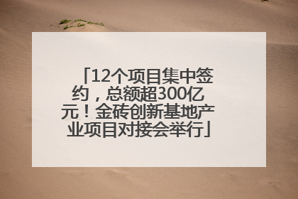 12个项目集中签约，总额超300亿元！金砖创新基地产业项目对接会举行