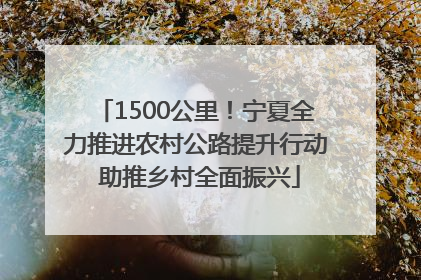 1500公里！宁夏全力推进农村公路提升行动 助推乡村全面振兴