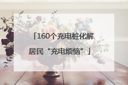 160个充电桩化解居民“充电烦恼”