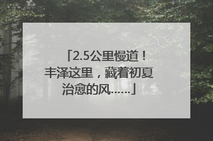 2.5公里慢道！丰泽这里，藏着初夏治愈的风……