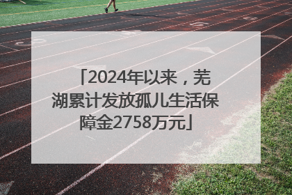 2024年以来，芜湖累计发放孤儿生活保障金2758万元