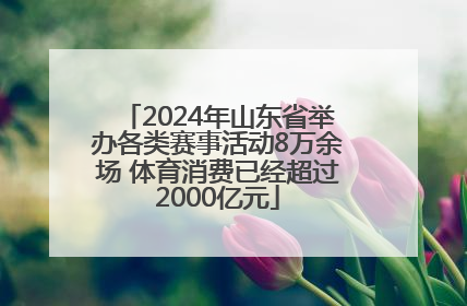 2024年山东省举办各类赛事活动8万余场 体育消费已经超过2000亿元