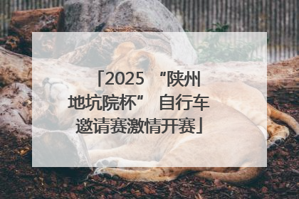 2025 “陕州地坑院杯” 自行车邀请赛激情开赛