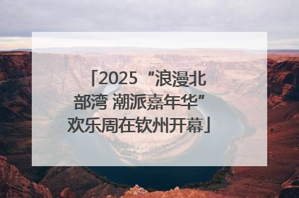 2025“浪漫北部湾 潮派嘉年华”欢乐周在钦州开幕