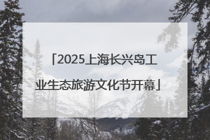 2025上海长兴岛工业生态旅游文化节开幕