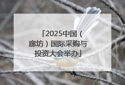 2025中国（廊坊）国际采购与投资大会举办
