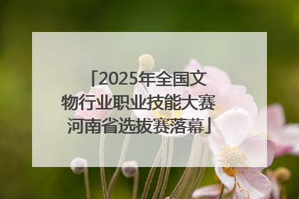 2025年全国文物行业职业技能大赛河南省选拔赛落幕