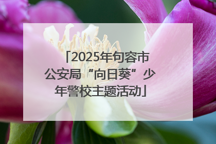 2025年句容市公安局“向日葵”少年警校主题活动