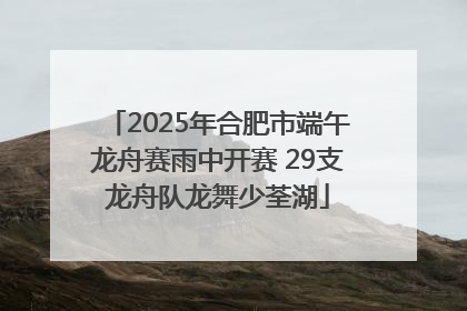 2025年合肥市端午龙舟赛雨中开赛 29支龙舟队龙舞少荃湖
