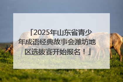 2025年山东省青少年成语经典故事会潍坊地区选拔赛开始报名！