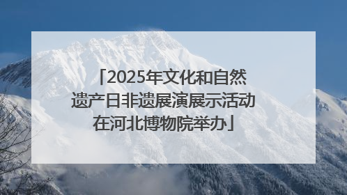 2025年文化和自然遗产日非遗展演展示活动在河北博物院举办