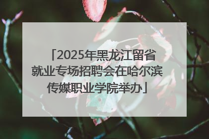 2025年黑龙江留省就业专场招聘会在哈尔滨传媒职业学院举办